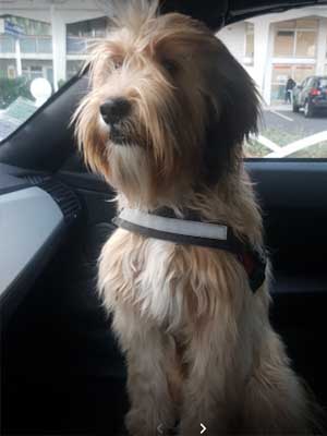 Béatrice Aubry-rolland